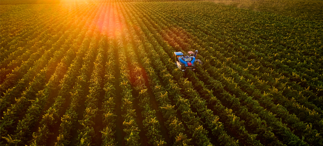 Aerial shot of Duxton vineyard